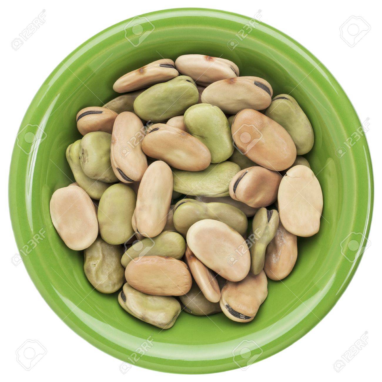 Australian Fava Beans