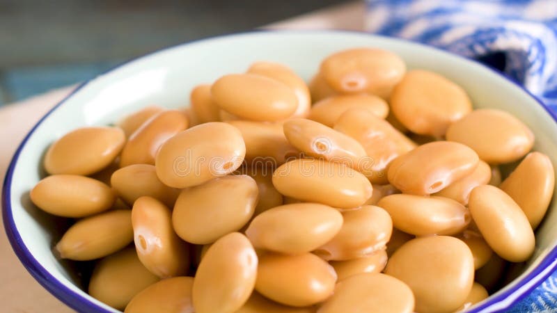 Lupini Beans (Termes)